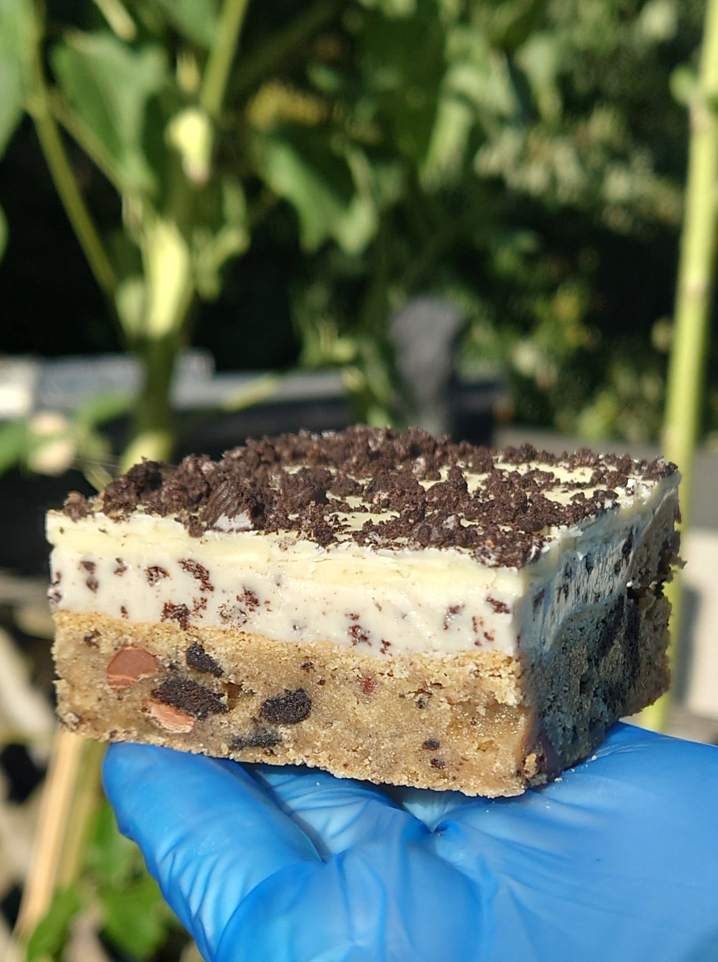 Oreo Cookie Squares