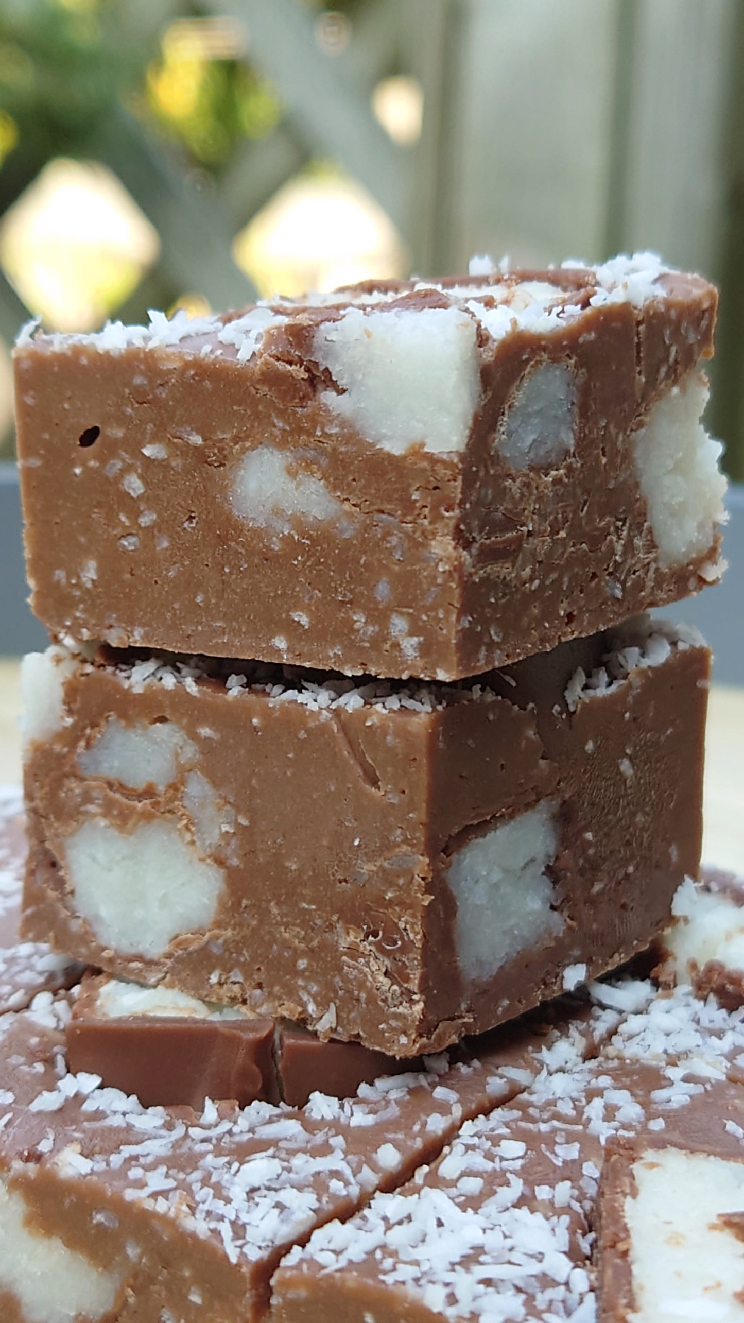 Bounty Fudge