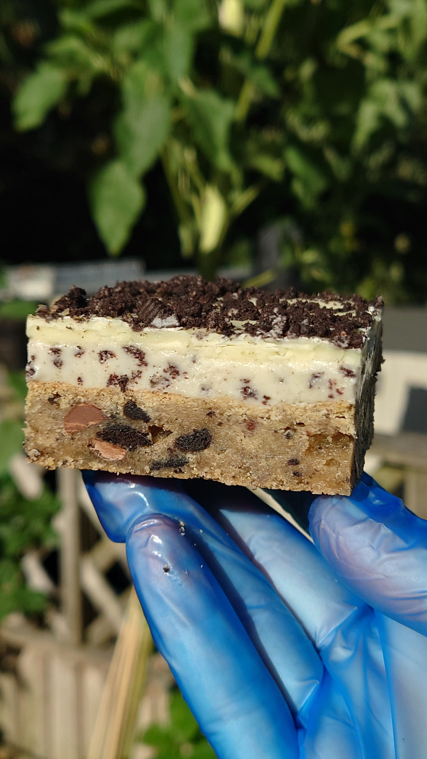 Oreo Cookie Squares